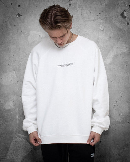 Wonderful | Loose fit Men's Sweatshirt